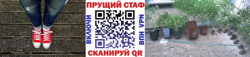 Магазины продажи наркотиков Красноярск НБОМе Марихуана Мефедрон Гашиш блэк спрут как зайти СК Cocaine