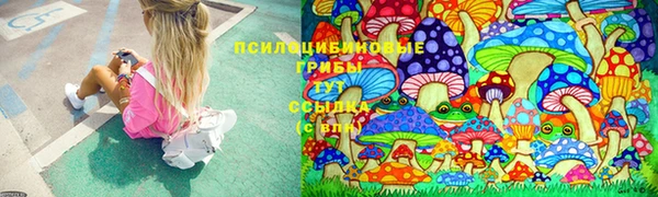 mdpv Алексин