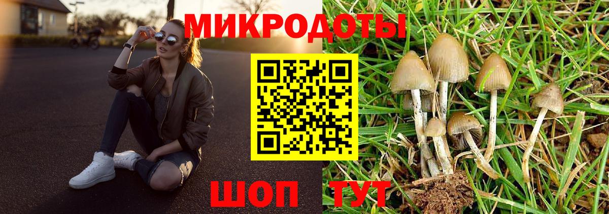 Галлюциногенные грибы GOLDEN TEACHER  Вход с VPN  Красноярск 